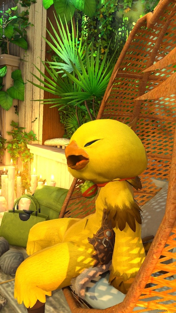 チョコボの休息