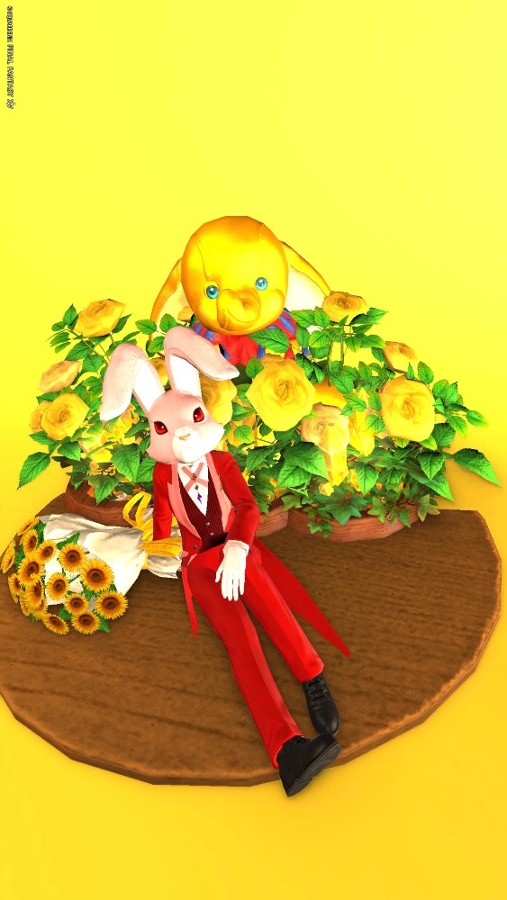 楽しい想い出🐘🐇